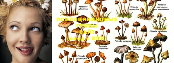 гашишное масло Алзамай